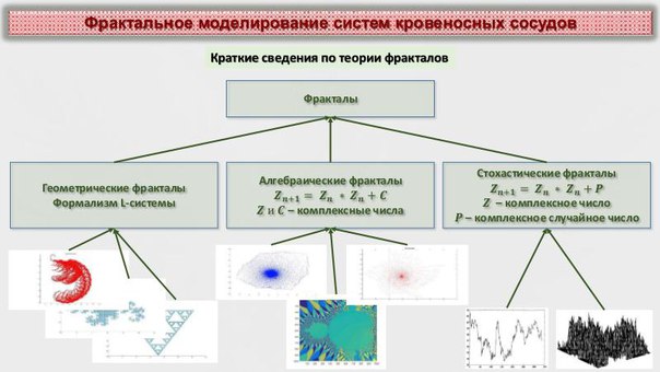 Фрактальное моделирование систем кровеносных сосудов (Алексей Цветков, OSEDUCONF-2017)!.jpg